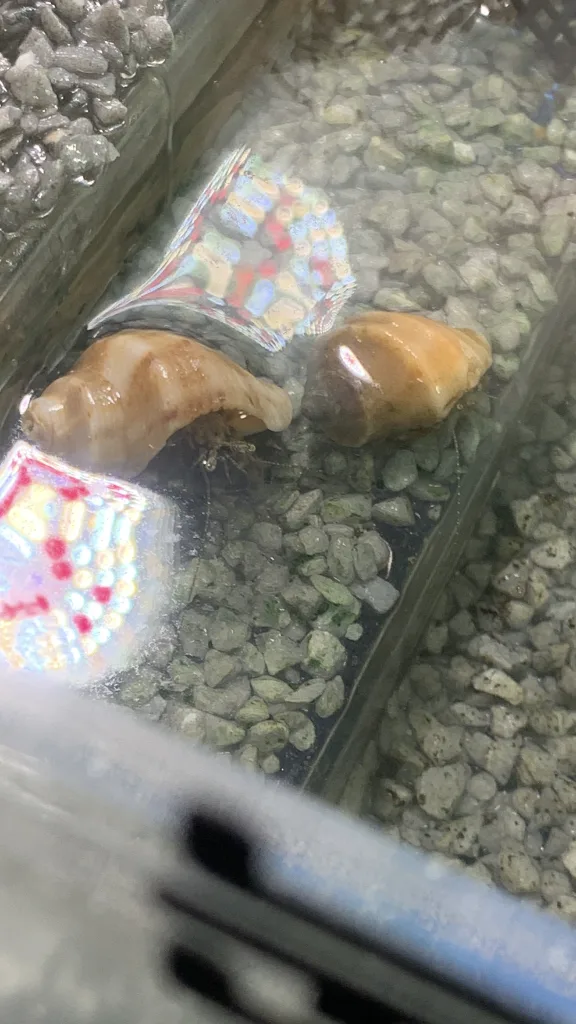 첨부 사진