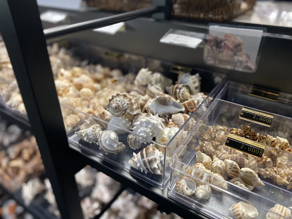 첨부 사진