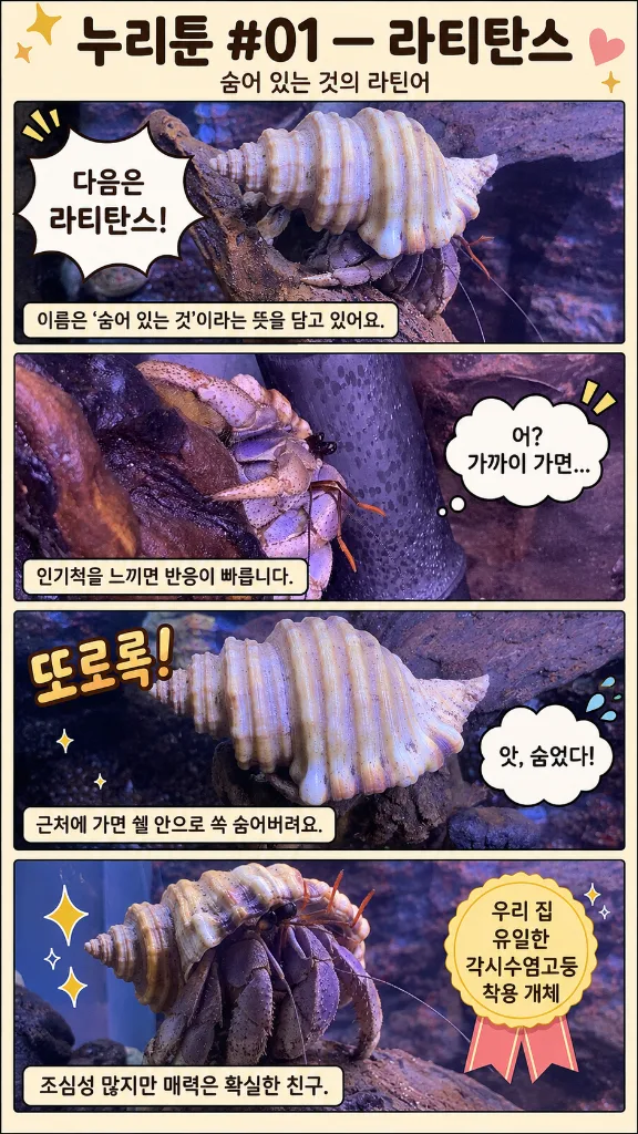 첨부 사진