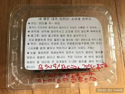 첨부 사진