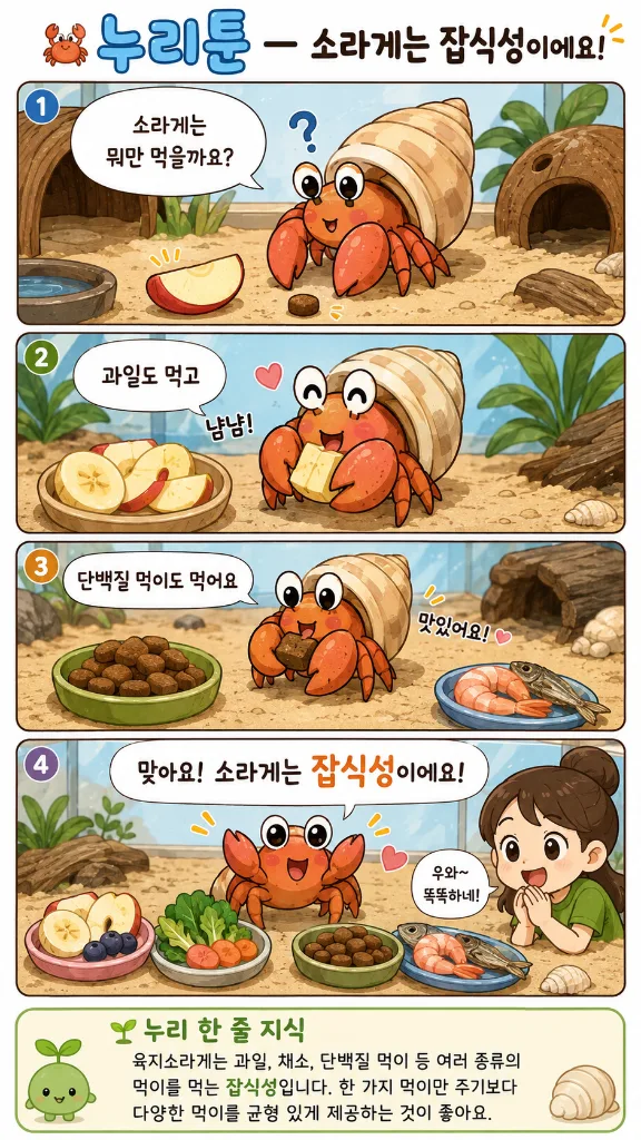 첨부 사진