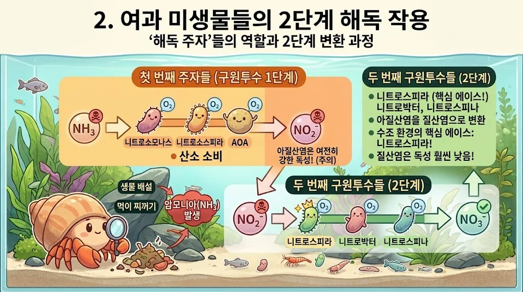 첨부 사진