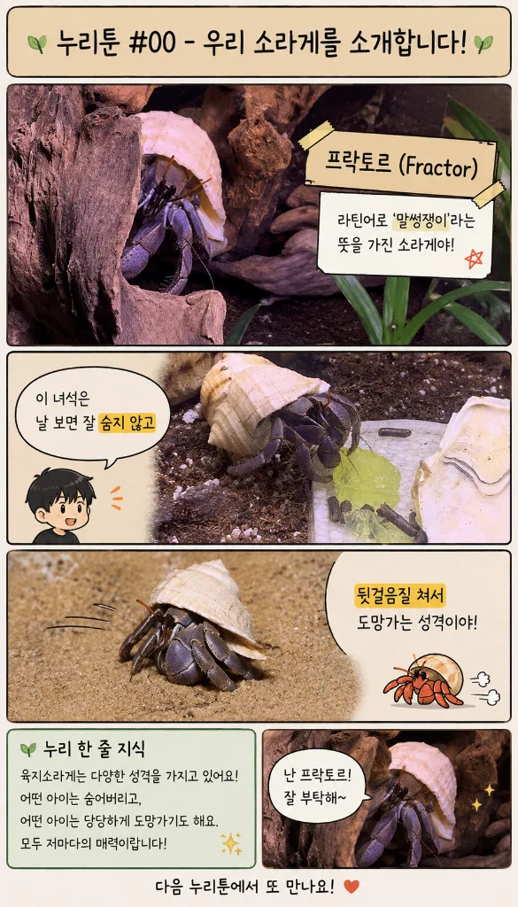 첨부 사진