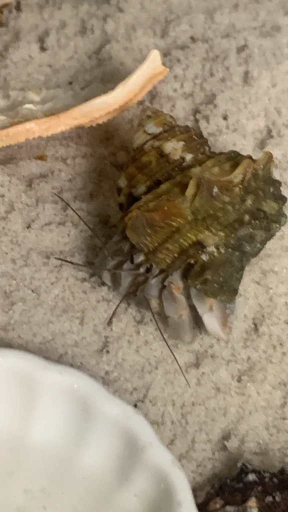 첨부 사진